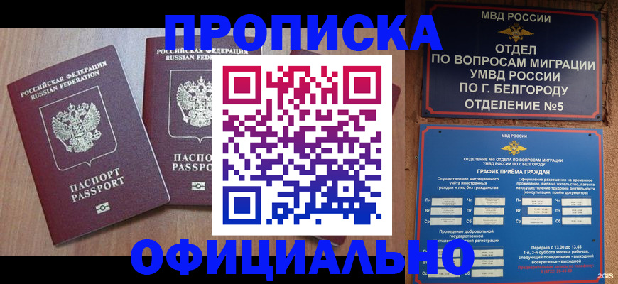 найти адрес прописки в Сафоново